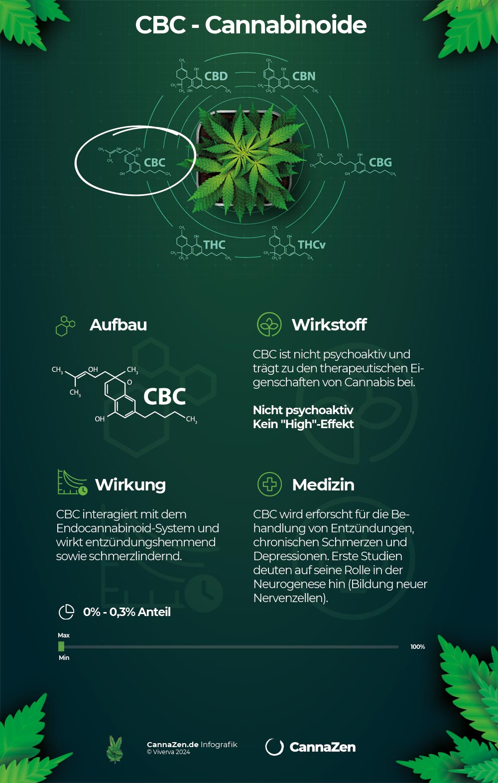 CBC Cannabinoid Infografik